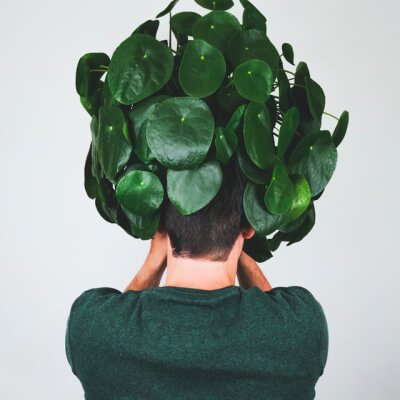 About Plants Store Gallery Img 3